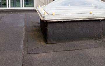 disadvantages of Bailrigg flat roofs