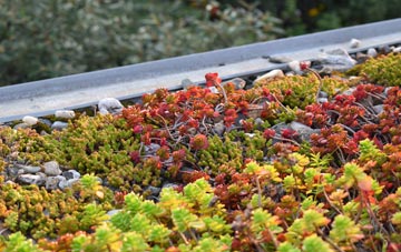 the cost of Bailrigg green roof installation