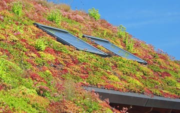 Bailrigg living roof systems